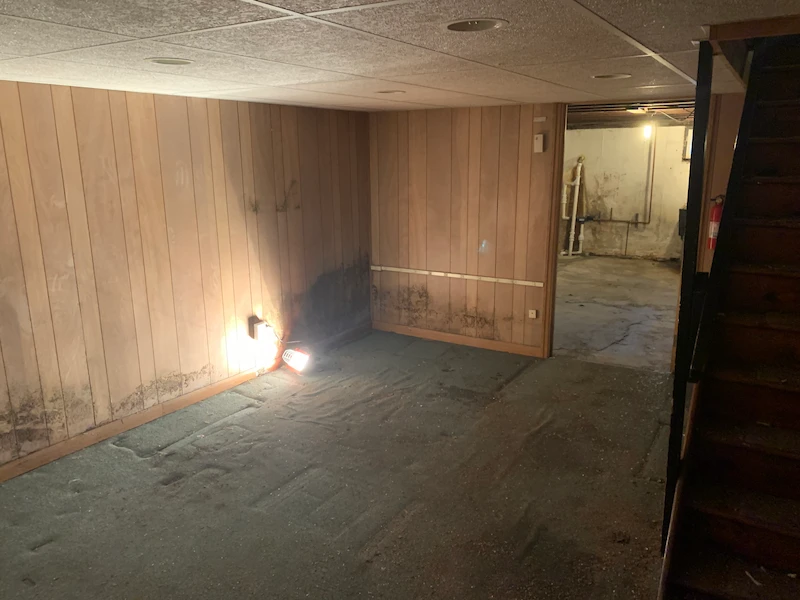 The same North NJ basement room, now completely cleared of all e-waste, showing swept green carpet and clean wood paneling, ready for a fresh start.